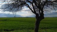 Petersberrg - Blick aus Richtung Dammendorf